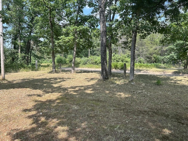 3423 S James Rd, Baldwin, MI 49304 - view of local wilderness