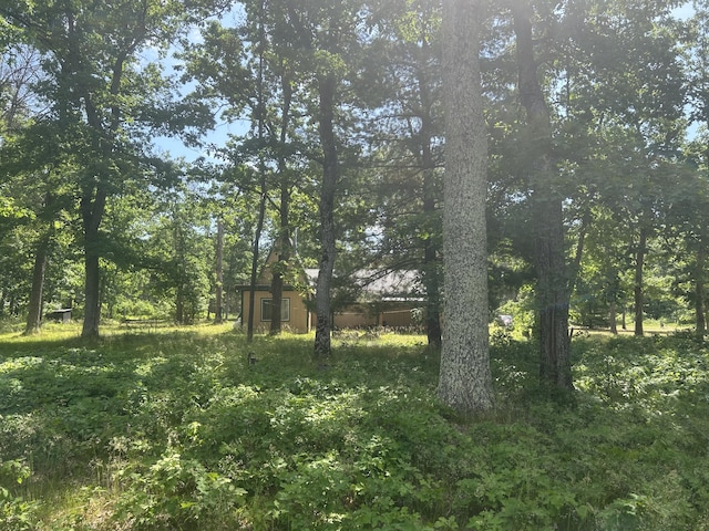 3423 S James Rd, Baldwin, MI 49304 - view of local wilderness