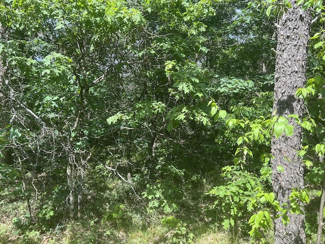 3423 S James Rd, Baldwin, MI 49304 - view of tree filled area