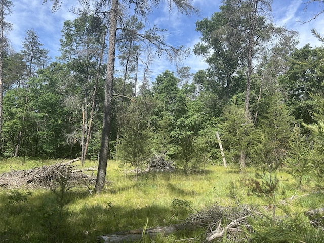 3423 S James Rd, Baldwin, MI 49304 - view of tree filled area