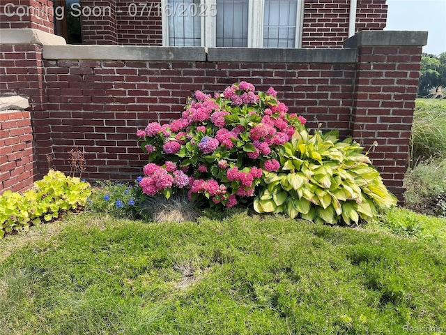 1755 W Boston Blvd, Detroit, MI 48206 - photo 2