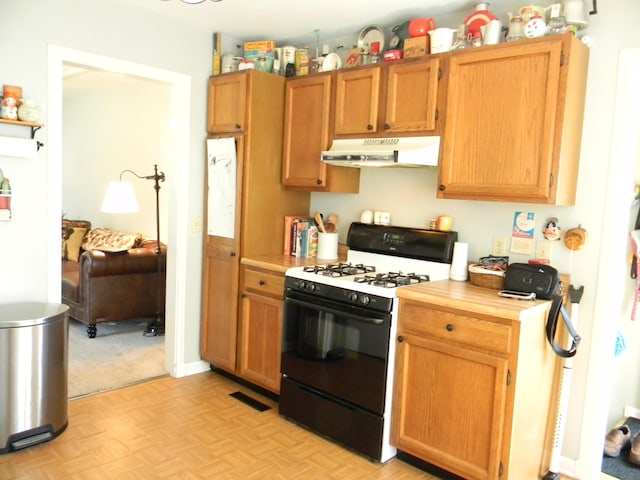 103 S Staffon St, Ludington, MI 49431 - kitchen with black range with gas cooktop and under cabinet range hood