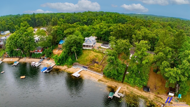 777 W Lincoln Ave, White Cloud, MI 49349 - aerial view of a heavily wooded area and a large body of water