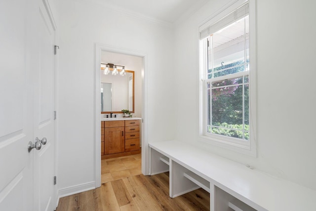 8375 Grapevine Circle, Cir, MI 49071 - mudroom with healthy amount of natural light, light wood-style floors, and crown molding