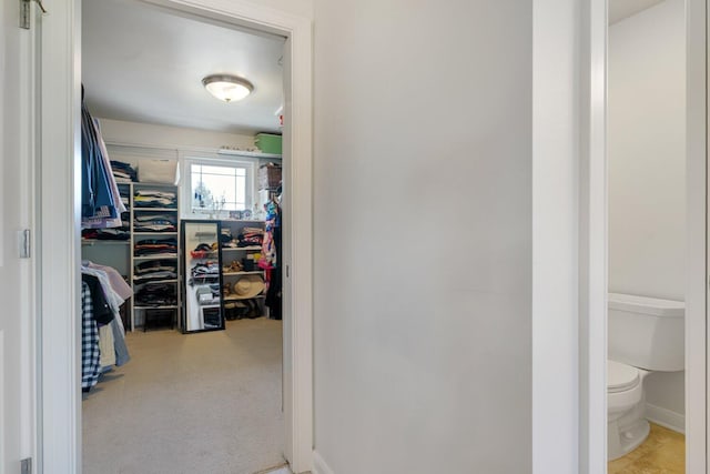 8375 Grapevine Circle, Cir, MI 49071 - walk in closet featuring carpet flooring