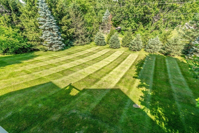 8375 Grapevine Circle, Cir, MI 49071 - view of grassy yard