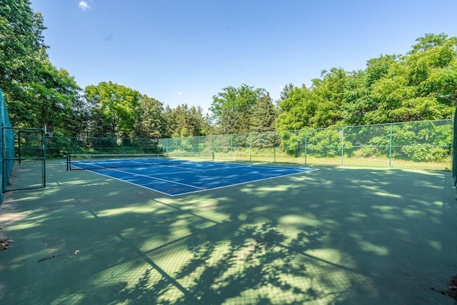 8375 Grapevine Circle, Cir, MI 49071 - view of tennis court