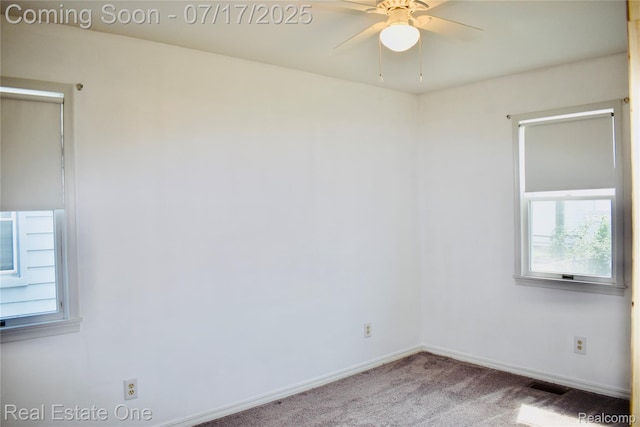 1248 Electric St, Wyandotte, MI 48192 - photo 20