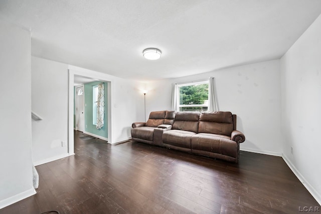 424 W Summit St, Adrian, MI 49221 - living room with hardwood / wood-style floors and baseboards