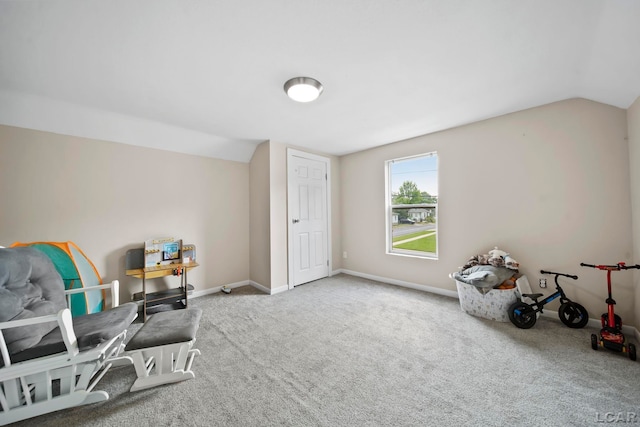 424 W Summit St, Adrian, MI 49221 - sitting room with vaulted ceiling and carpet
