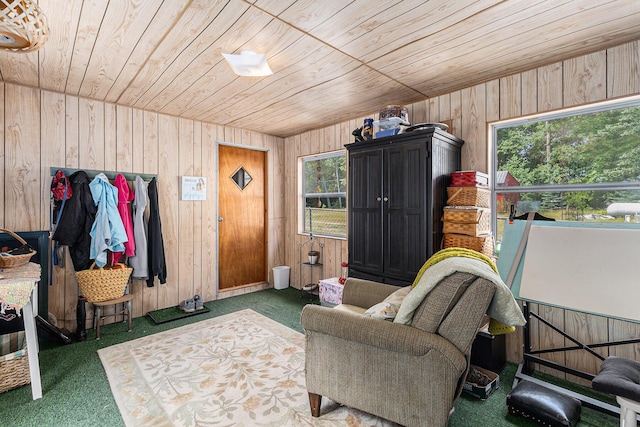 52 S Emerson Lake Dr, Branch, MI 49402 - living area featuring wood ceiling, wood walls, and carpet floors