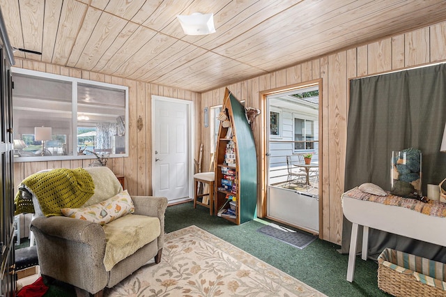 52 S Emerson Lake Dr, Branch, MI 49402 - living area with wooden ceiling, wood walls, and carpet floors