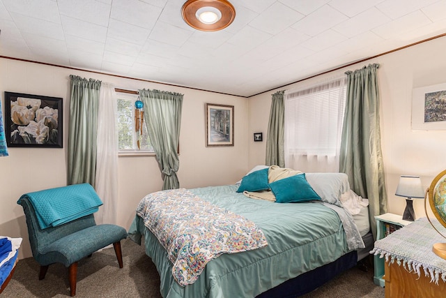 52 S Emerson Lake Dr, Branch, MI 49402 - bedroom with carpet and crown molding