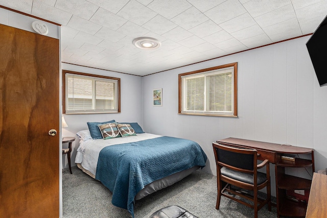 52 S Emerson Lake Dr, Branch, MI 49402 - bedroom featuring carpet