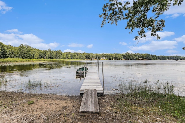 52 S Emerson Lake Dr, Branch, MI 49402 - dock with a water view and a view of trees