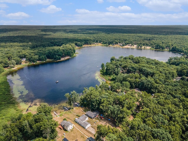 52 S Emerson Lake Dr, Branch, MI 49402 - aerial view of property's location with a forest and a large body of water