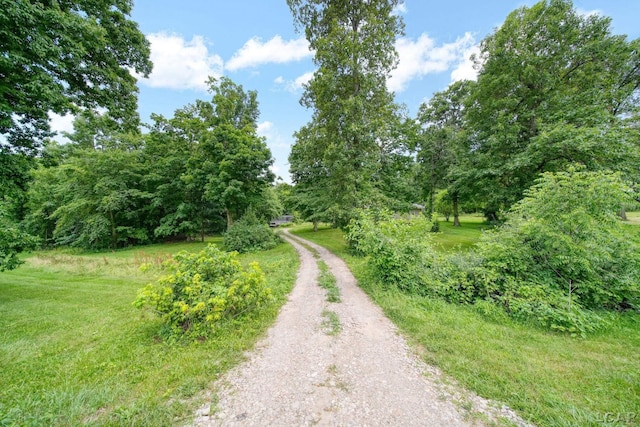 3205 Emery Rd, Adrian, MI 49221 - photo 2