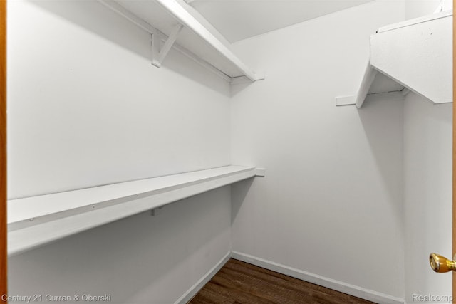 1786 Daisy Ln, Westland, MI 48186 - walk in closet with dark wood-style flooring