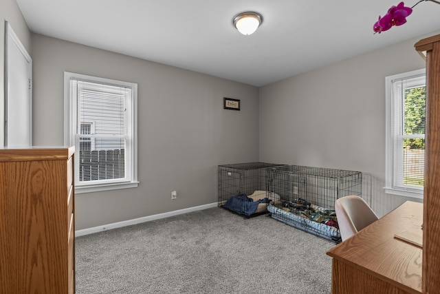 22358 Firwood Ave, Eastpointe, MI 48021 - carpeted office with baseboards