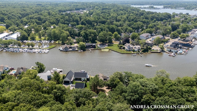 873 Park St, Saugatuck, MI 49453 - photo 62