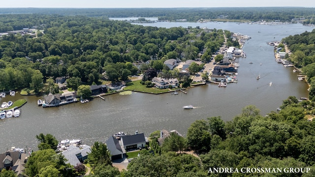 873 Park St, Saugatuck, MI 49453 - photo 61