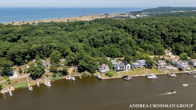 873 Park St, Saugatuck, MI 49453 - photo 4