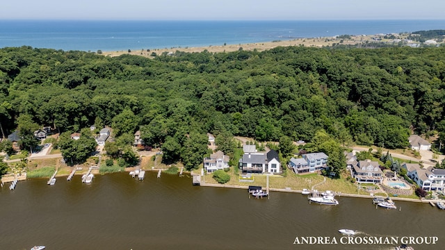 873 Park St, Saugatuck, MI 49453 - photo 60
