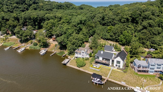 873 Park St, Saugatuck, MI 49453 - photo 59