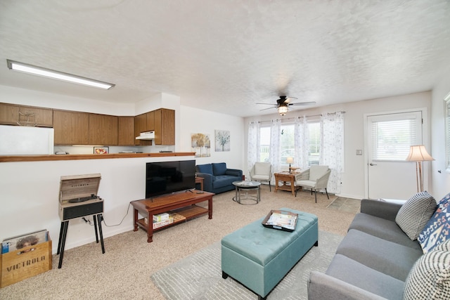 5015 Main St, Onekama, MI 49675 - living area with light carpet and ceiling fan
