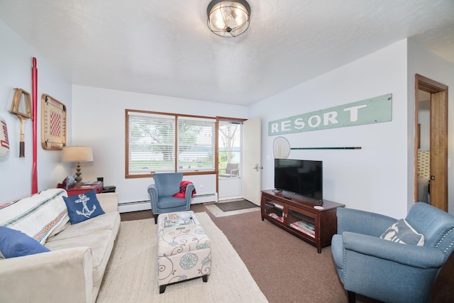 5015 Main St, Onekama, MI 49675 - living room with a baseboard heating unit and carpet