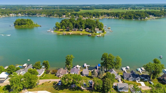 31326 Curran Beach Rd, Dowagiac, MI 49047 - aerial view of residential area with a nearby body of water