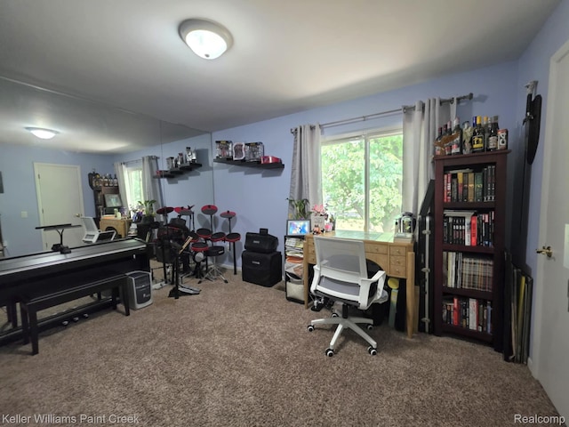 42231 Toddmark Ln, Clinton Township, MI 48038 - view of carpeted office