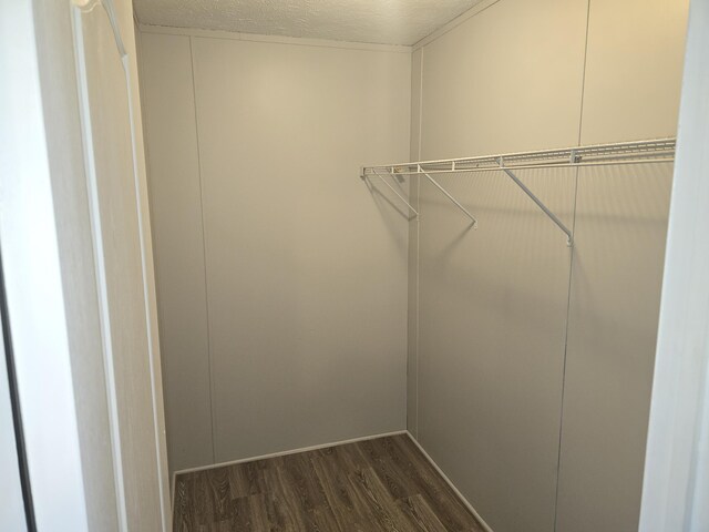 26 Traveler Dr Unit 26, Sparta, MI 49345 - walk in closet with dark wood-style floors