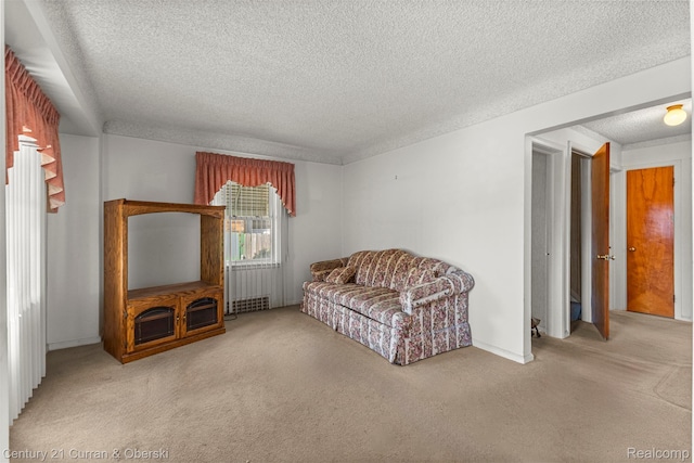 19163 Henry St, Melvindale, MI 48122 - living area featuring a textured ceiling, carpet flooring, and radiator