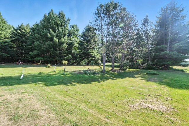 8698 Big Stone Lake Rd, Evart, MI 49631 - view of green lawn