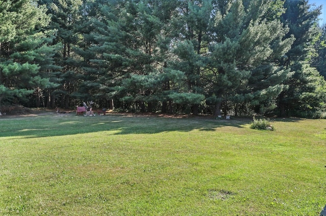 8698 Big Stone Lake Rd, Evart, MI 49631 - view of green lawn