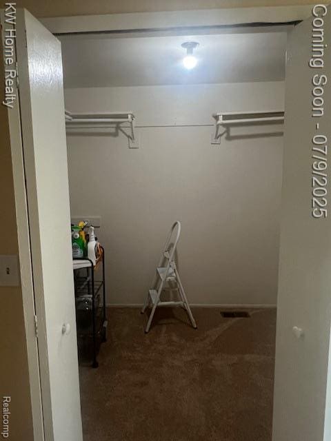 24890 Arden Park Dr, Farmington Hills, MI 48336 - spacious closet with carpet flooring