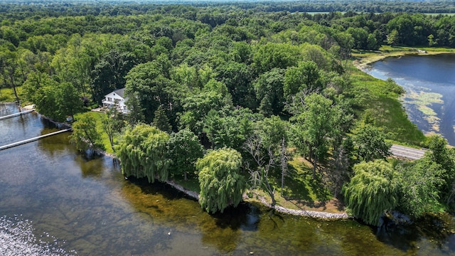 15665 Portage Rd, Vicksburg, MI 49097 - aerial view of property and surrounding area with a forest and a nearby body of water