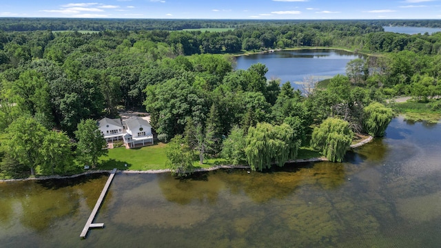 15665 Portage Rd, Vicksburg, MI 49097 - view of property location with a forest and a nearby body of water