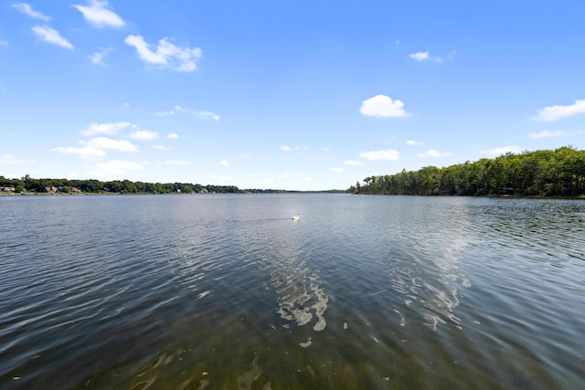 15665 Portage Rd, Vicksburg, MI 49097 - water view