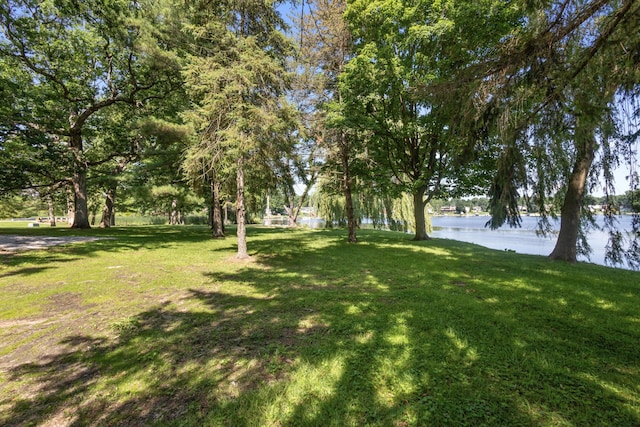 15665 Portage Rd, Vicksburg, MI 49097 - view of green lawn with a water view