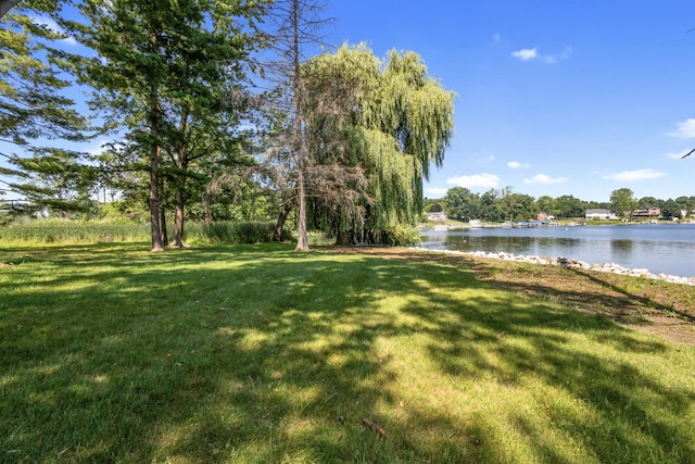 15665 Portage Rd, Vicksburg, MI 49097 - view of grassy yard featuring a water view