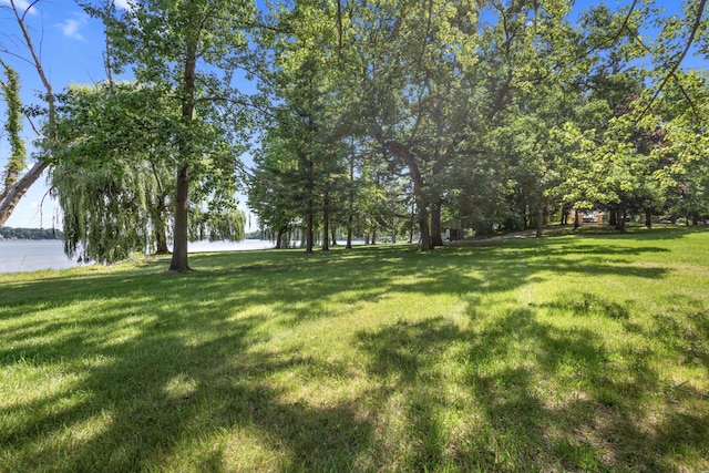 15665 Portage Rd, Vicksburg, MI 49097 - view of grassy yard featuring a water view