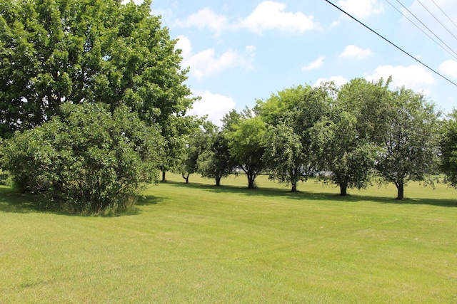 2786 Dinius Rd, Tecumseh, MI 49286 - view of green lawn