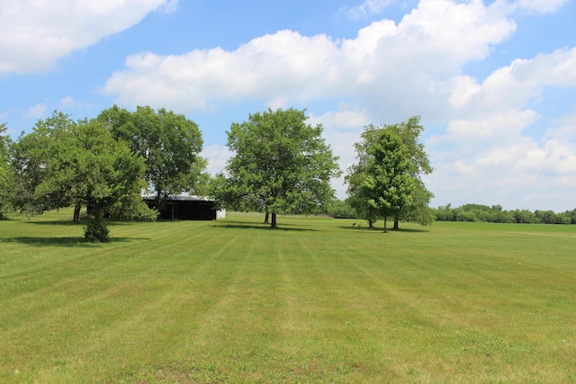 2786 Dinius Rd, Tecumseh, MI 49286 - view of green lawn