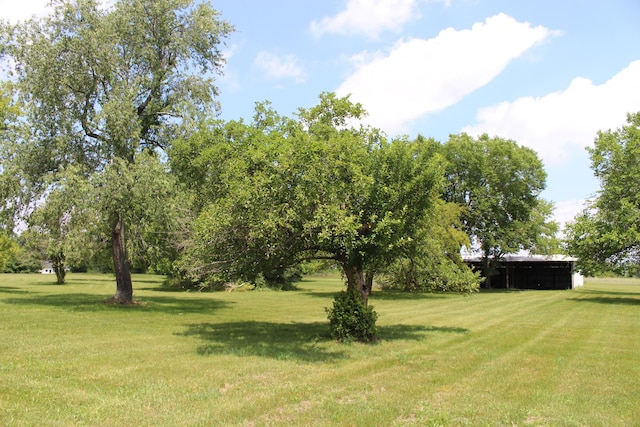 2786 Dinius Rd, Tecumseh, MI 49286 - view of grassy yard
