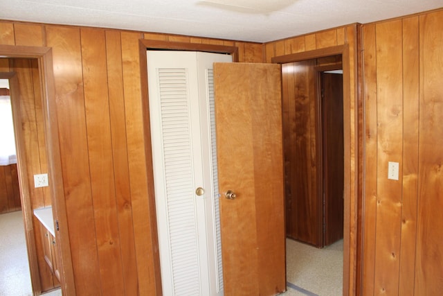 2786 Dinius Rd, Tecumseh, MI 49286 - hall with wood walls