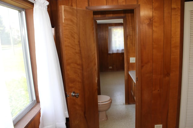 2786 Dinius Rd, Tecumseh, MI 49286 - bathroom with wooden walls