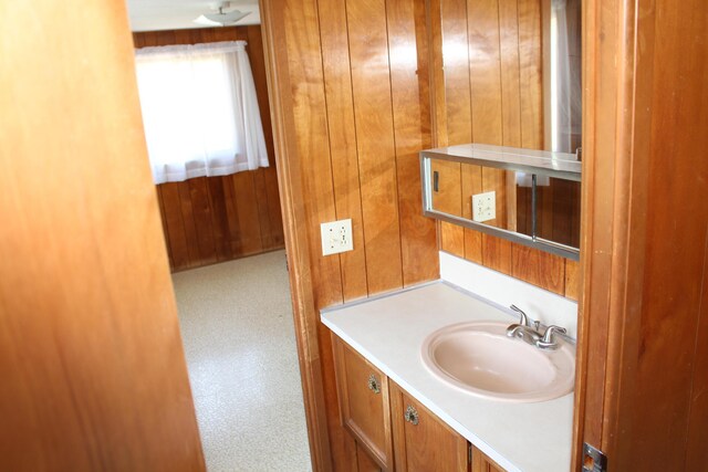 2786 Dinius Rd, Tecumseh, MI 49286 - bathroom with vanity and wooden walls