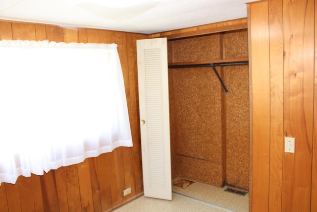 2786 Dinius Rd, Tecumseh, MI 49286 - unfurnished bedroom with wood walls and a closet